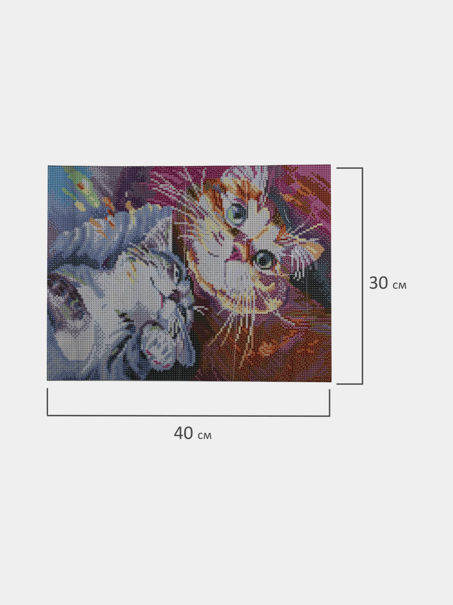 Алмазная мозаика картина вышивка из страз 30x40 см, "Тёплая дружба", 662561