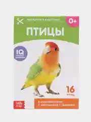 Бежевый развивающие карточки по методике Г. Домана в одном месте (мега)