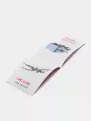 Бордовый развивающие карточки по методике Г. Домана в одном месте (мега)