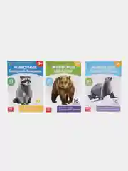 Золотистый хаки развивающие карточки по методике Г. Домана в одном месте (мега)