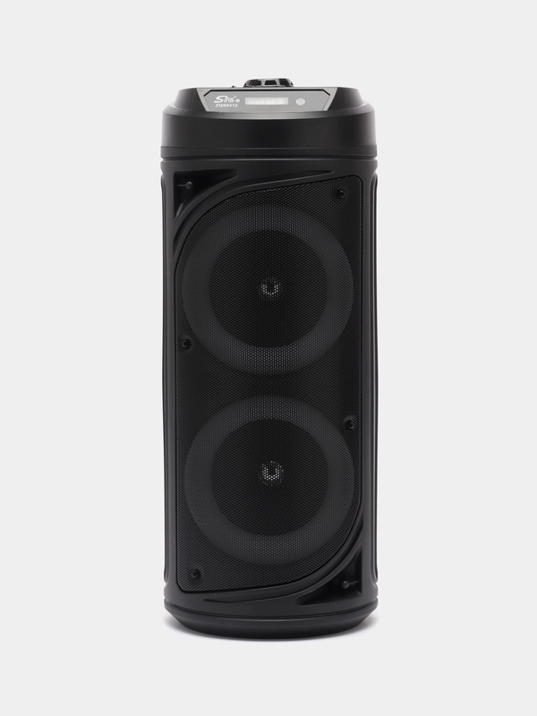 Портативная колонка ZQS-6212, c микрофоном, радио и светомузыкой