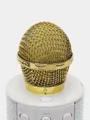 Золотой беспроводной караоке-микрофон WS 858, детский