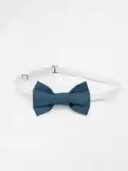 Бабочка галстук бирюза