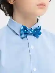Бабочка галстук Зима