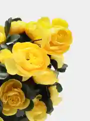 Желтый искусственные цветы камелии,  пионы, большой букет