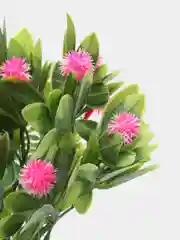 Розовый искусственные цветы мордовник