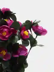 Марсала искусственные цветы камелии,  пионы, большой букет