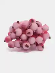 Розовый ягодки на ветке, сахарные, 40 ягод