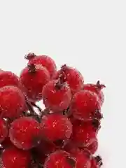 Красный ягодки на ветке, сахарные, 40 ягод