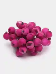 Фуксия ягодки на ветке, сахарные, 40 ягод