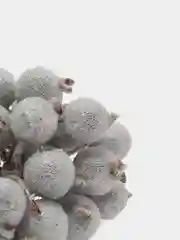 Серебряный ягодки на ветке, сахарные, 40 ягод