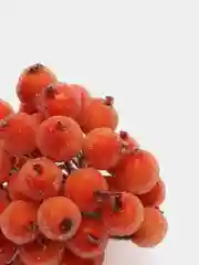 Оранжевый ягодки на ветке, сахарные, 40 ягод
