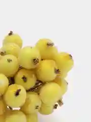 Желтый ягодки на ветке, сахарные, 40 ягод