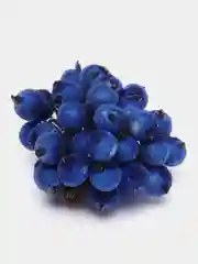 Синий ягодки на ветке, сахарные, 40 ягод