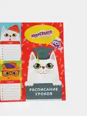 Расписание уроков А4 для девочек