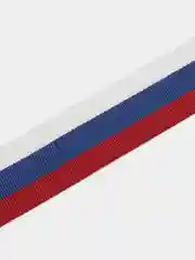 Красный набор лент триколор "Россия, Татарстан, Георгиевская, Башкортостан", с булавками, 50 см