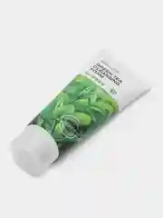 Пенка для умывания LEBELAGE Cleansing Foam Green Tea, с зеленым чаем, тонизирующая, 100 мл