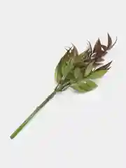 Терракотовый искусственные цветы "Бамбуковый лист", пластиковые