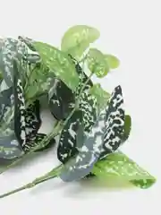 Белый искусственные цветы. Куст зелени. Искусственные растения для декора