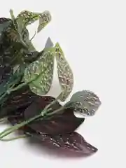 Бордовый искусственные цветы. Куст зелени. Искусственные растения для декора