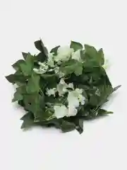 Белый цветок глицинии. Искусственная лиана. Искусственные цветы