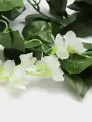 Белый цветок глицинии. Искусственная лиана. Искусственные цветы