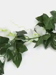 Белый цветок глицинии. Искусственная лиана. Искусственные цветы