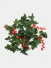 Красный цветок глицинии. Искусственная лиана. Искусственные цветы