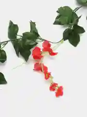 Красный цветок глицинии. Искусственная лиана. Искусственные цветы