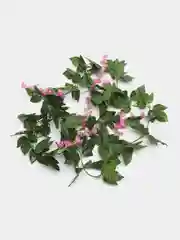 Фуксия цветок глицинии. Искусственная лиана. Искусственные цветы