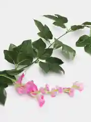 Фуксия цветок глицинии. Искусственная лиана. Искусственные цветы