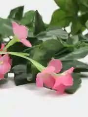 Розовый цветок глицинии. Искусственная лиана. Искусственные цветы
