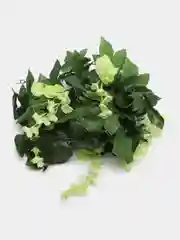 Лайм цветок глицинии. Искусственная лиана. Искусственные цветы