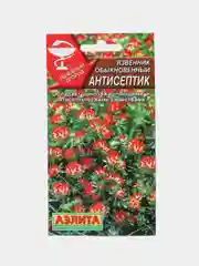 Язвенник Аэлита "Антисептик"