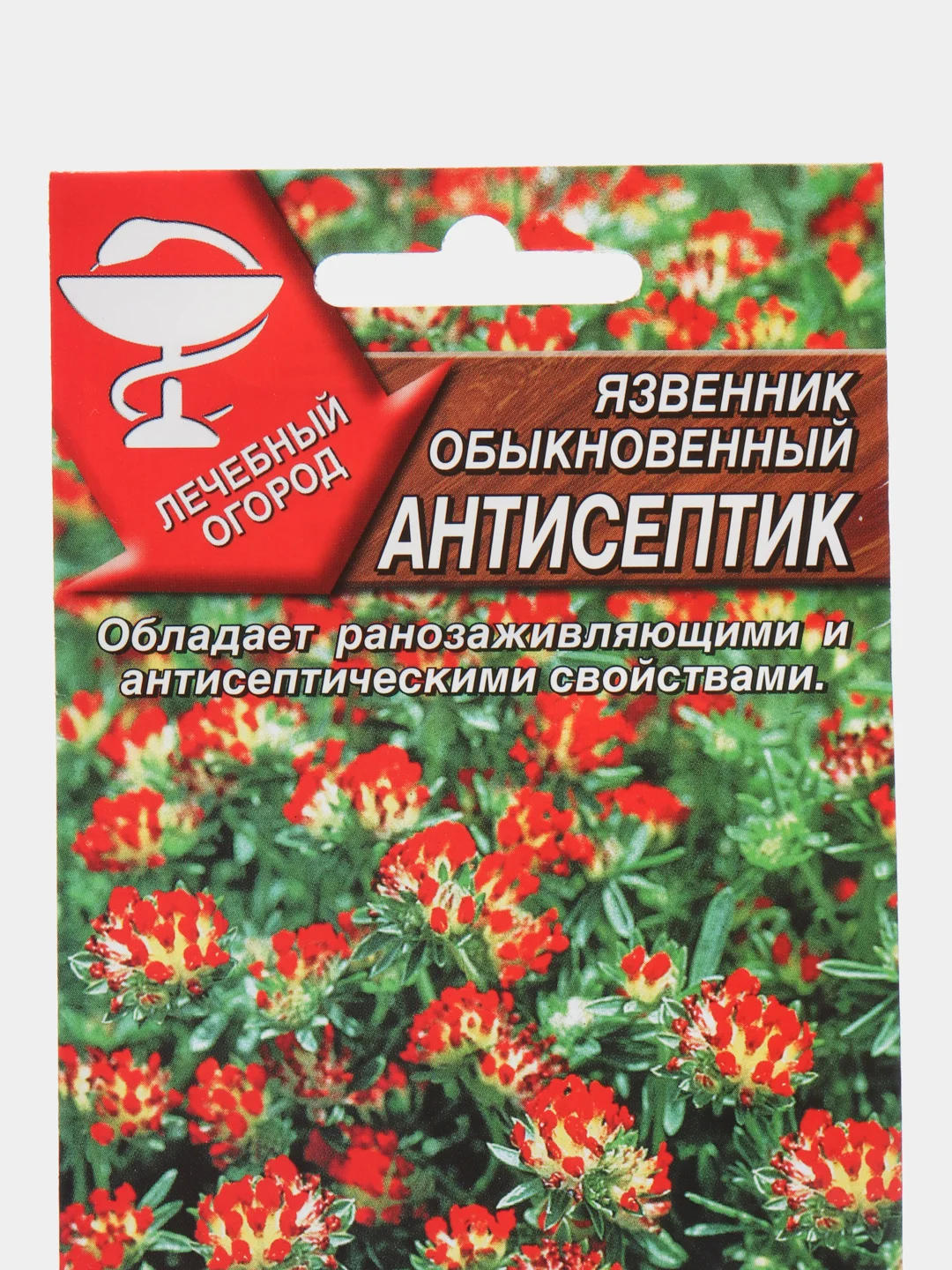 Язвенник Аэлита "Антисептик"