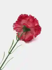 Тёмно-бордовый искусственные цветы "Гвоздики"