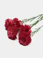 Тёмно-бордовый искусственные цветы "Гвоздики"