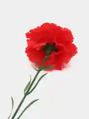 Красный искусственные цветы "Гвоздики"