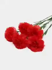 Красный искусственные цветы "Гвоздики"