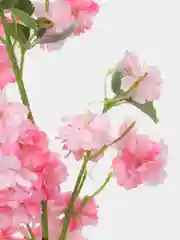 Розовый искусственные цветы сакура, японская вишня, ветка сакуры