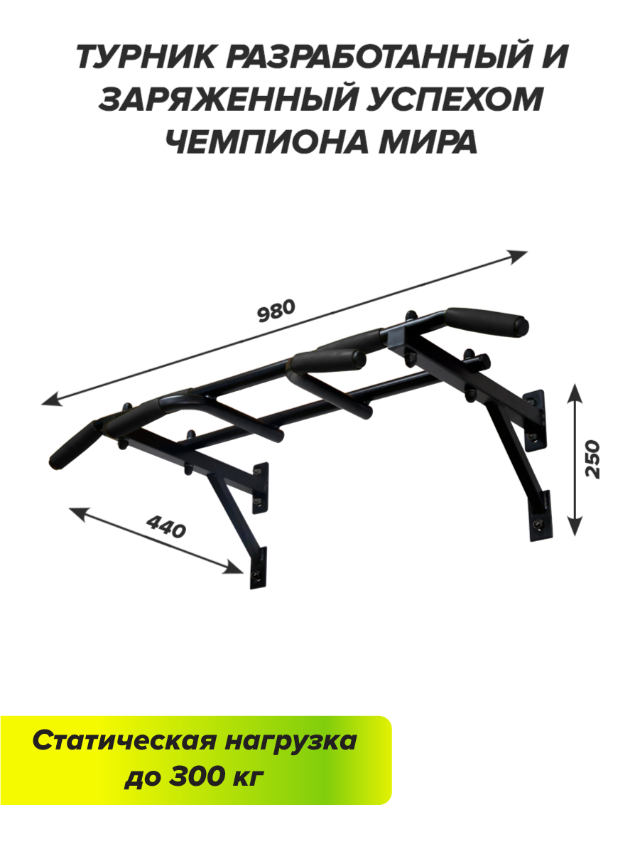 Турник настенный champion