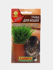 Семена трава для кошек