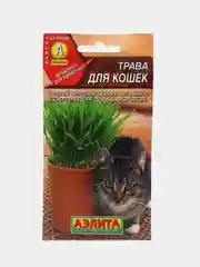 Семена трава для кошек