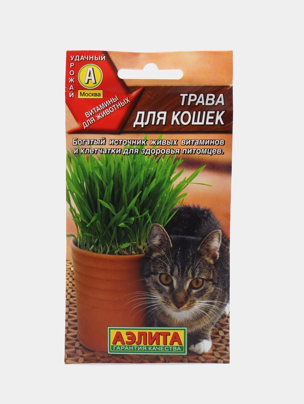 Семена трава для кошек
