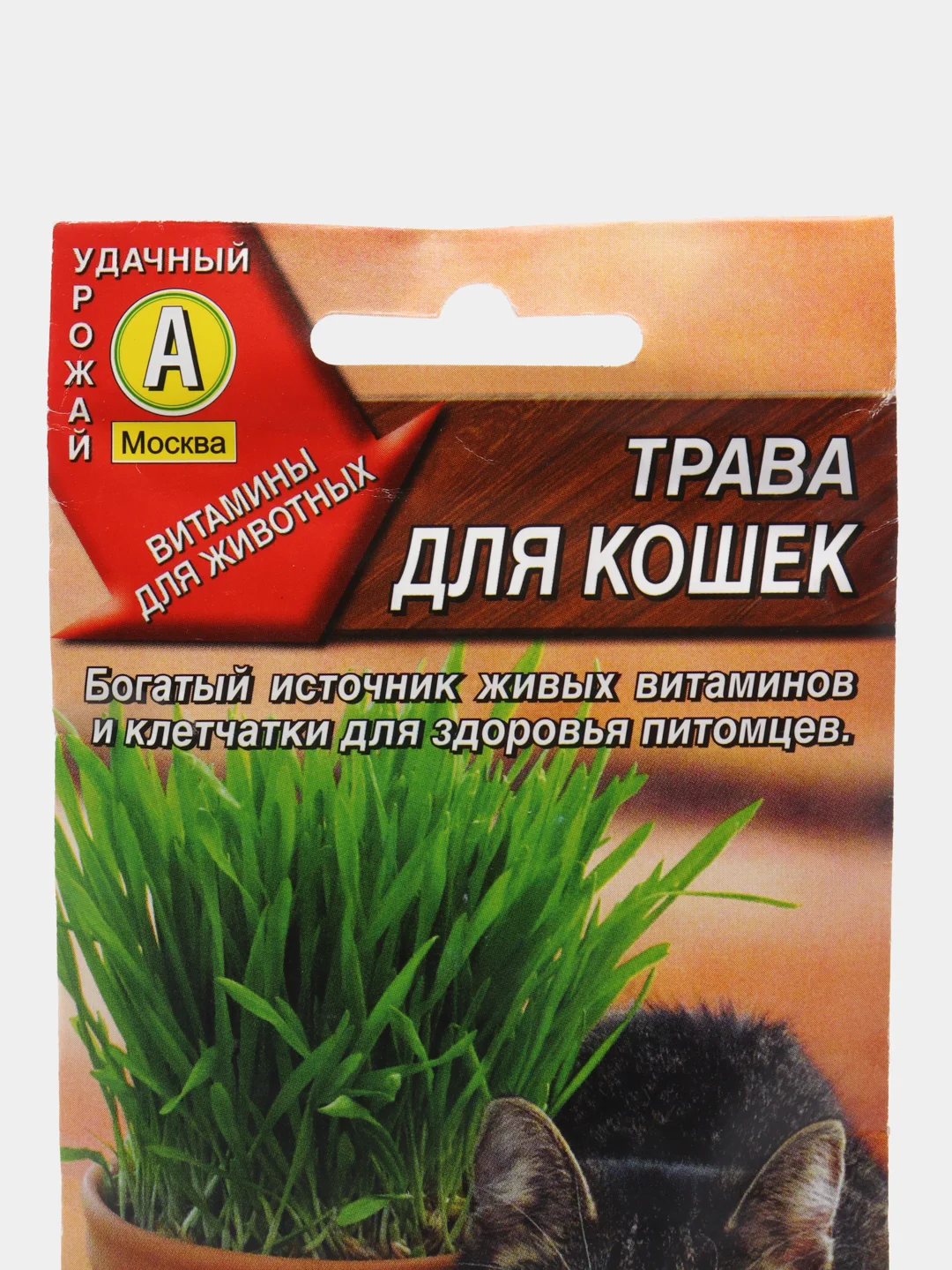 Семена трава для кошек