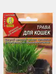 Семена трава для кошек