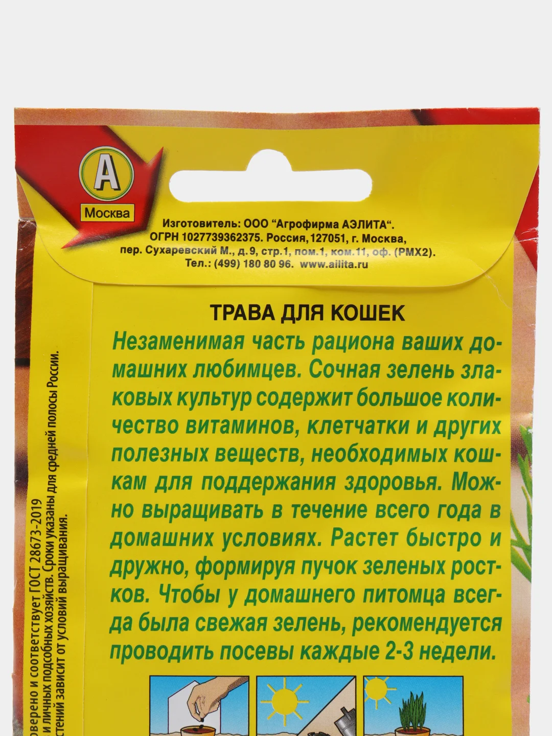 Семена трава для кошек