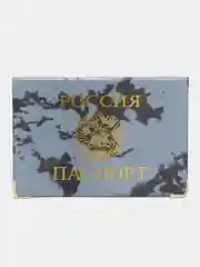 Приглушённый хаки обложка-чехол на паспорт
