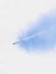 Белый перья декоративные