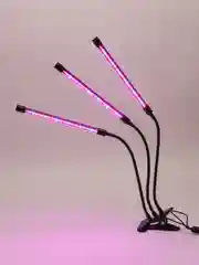 Белый фитолампа для растений светодиодная R-Led, два спектра 4*15 ВТ, с таймером